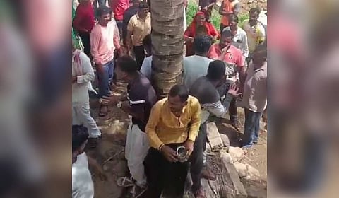 Hindu activists tied to tree, assaulted over transporting cows in Karnataka village; video sparks outrage