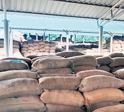 Procurement ends but paddy bags yet to be lifted from mandis in Odisha's Bargarh