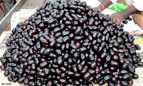 Jam-packed with benefits 