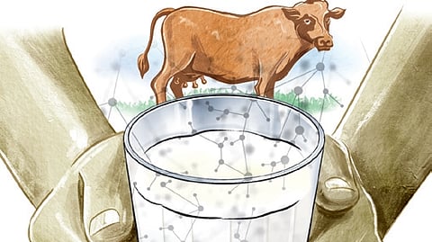 Image used for representational purposes only.