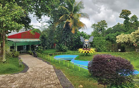 Sweet treat: Nation’s first honey 
museum to come up soon in Kerala