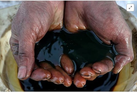 Crude price can fall below $60 a barrel by 2025-end: S&P Global
