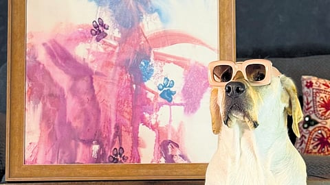 Dali the Labrador: From rescue to renowned watercolour artist