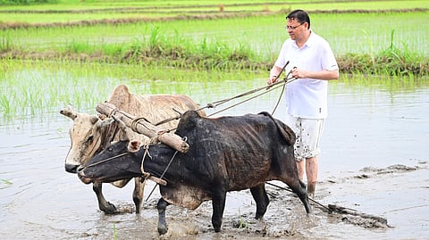 Uttarakhand Chief Minister Pushkar Singh Dhami swapped his official duties for the humble task of a farmer on Saturday, personally participating in paddy sowing on his private farmland in Nagra Terai, Khatima. 