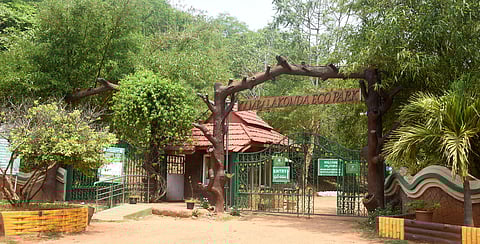 WII recommends reforms 
for sanctuaries management in Andhra Pradesh