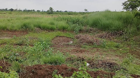 Image of land used for representational purposes only. 