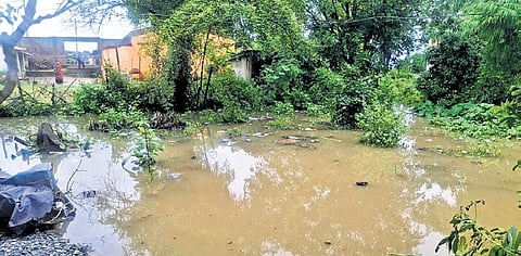 A waterlogged area in Kuchinda sub-division of Sambalpur district.