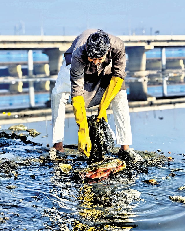 An NGO member participates in a solid waste removal drive