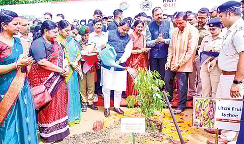 CM Majhi watering a plant on the occasion of 76th Van Mahotsav Week.