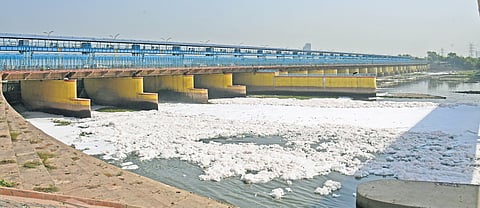 Yamuna riverbank at Kalandi Kunj. 