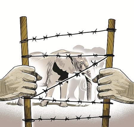 Three persons were killed in separate elephant attacks in Sundargarh and Deogarh districts on Thursday, a pointer to the escalating human-elephant conflict in the state.