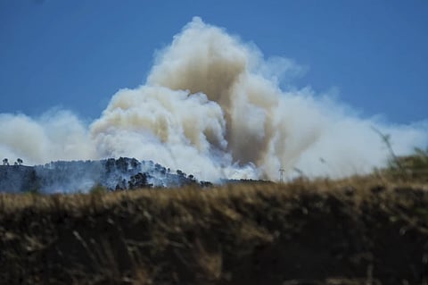 Marseille airport suspends flights due to wildfire as public warned to stay at home