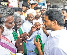 Addressing the media at the Bangarupalyam Market Yard, Jagan demanded that the government immediately procure the entire mango crop from farmers at Rs 12 per kg.