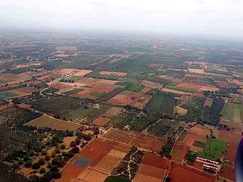 Tricky posers over use of fertile farmland for park