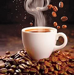 There are many types of coffee -- wine coffee, cocoa coffee, vanilla coffee and others -- that are gaining popularity. This is apart from region-specific coffees like Arakku, Bramhagiri and Pushpagiri.