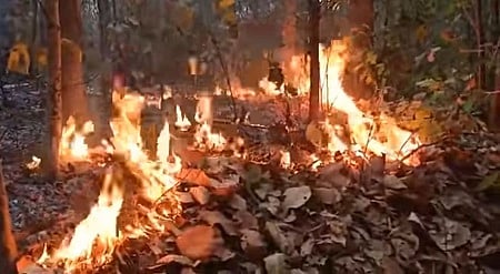 The New Indian Express - Other - News Image