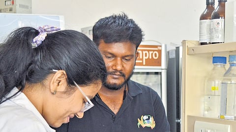 A team of researchers works with millets in a lab (above) and a one-acre farm (below) in the University of Hyderabad