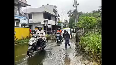 The Kaniyampuzha road that runs from Vyttila Mobility Hub to Eroor is a major shortcut that commuters use to access the Infopark, Kakkanad