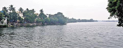 The state government has been told to submit a report on the Velachery Lake’s original and present extent 