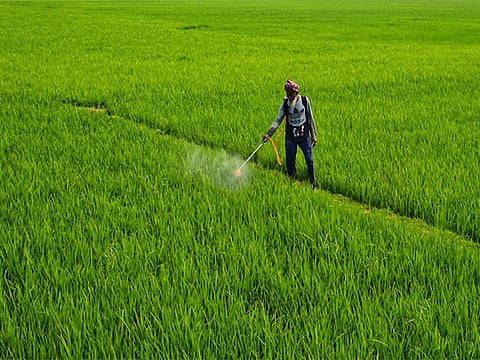 On July 16, the union cabinet approved development of 100 aspirational agriculture districts of India including four from Odisha - Sundargarh, Kandhamal, Malkangiri and Nuapada. 