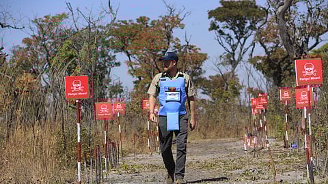 Britain's Prince Harry walks through a minefield during a visit to see the work of landmine clearance charity of the Halo Trust, in Cuito Cuanavale, Cuando province, southern Angola, Wednesday, July 16, 2025.