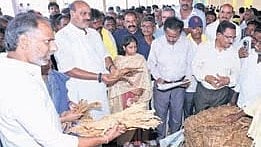 Energy Minister Gottipati Ravi Kumar and Agriculture Minister Kinjarapu Atchannaidu on Wednesday inaugurated a black burley tobacco procurement centre at the Santamaguluru agricultural market yard in Addanki constituency.