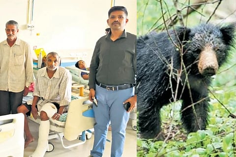 The victim Desai and the bear that attaacked him 