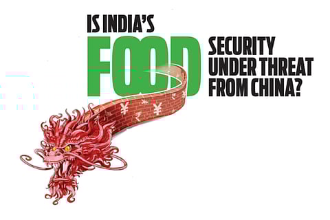 EXPLAINER | Is India’s food security under threat from China?