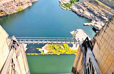 Watered-down safety? Telangana’s irrigation projects suffer from neglect