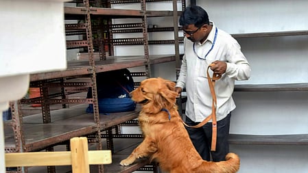 Schools in Amritsar receives bomb threat.