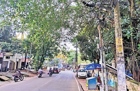 Electrocution deaths fail to jolt KSEB out of slumber
