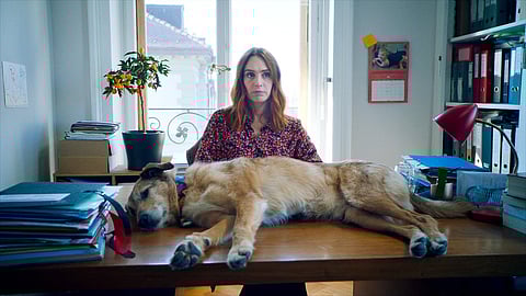 A still from Dog on Trial