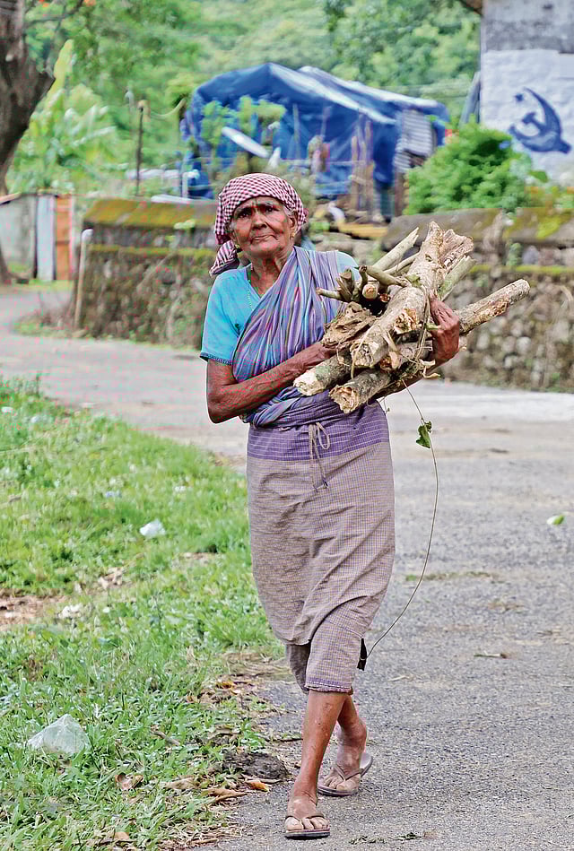 An elderly woman with firewood at the Bonacaud estate. (Right) Ponnu, 78, and Bhadrakali, 75, walk to work under Mahatma Gandhi National Rural Employment Guarantee Scheme