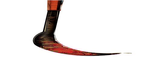 Mallikarjun reportedly remarked, "If you die, my sister’s life will be better." Deeply disturbed by this statement, Mallappa immediately slit his own throat, resulting in severe bleeding and his death on the spot.