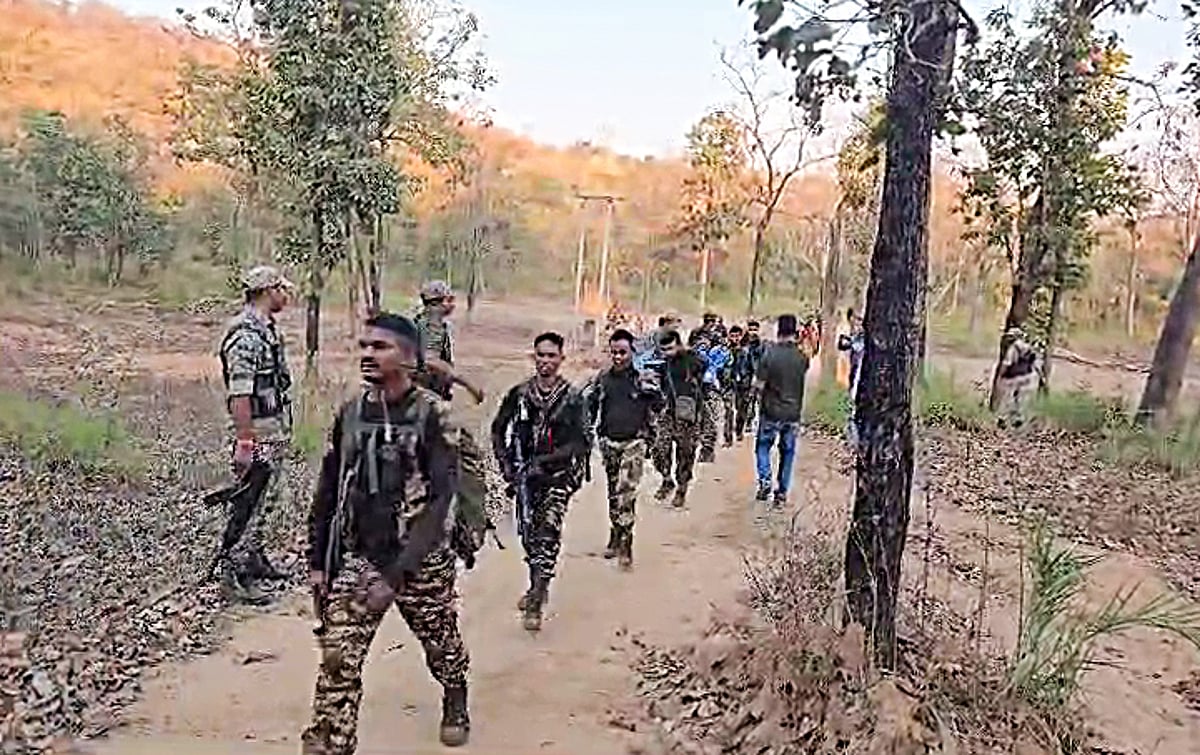 Security Forces Kill Seven Maoists in Jharkhand and Chhattisgarh