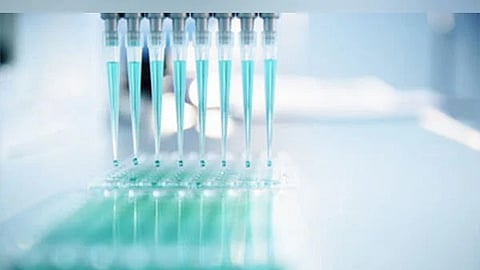 Image of IVF used for representative purpose.