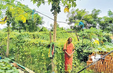 Belarani Pradhan in her vegetable garden at Nalabehdi village in Jagatsinghpur district.