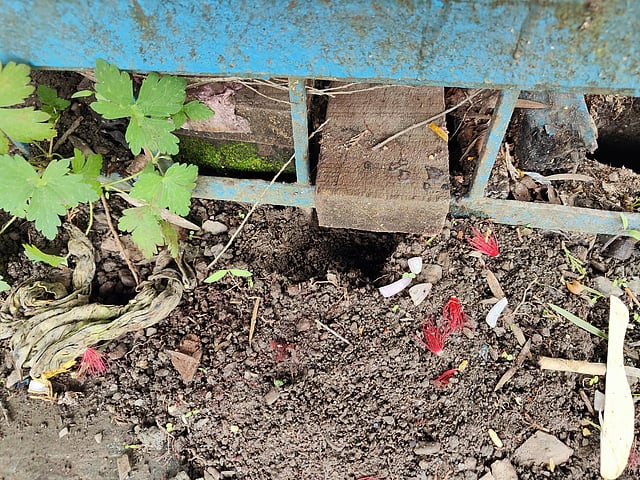 Beyond the walls, their below ground network extends to the land surrounding the Band Stand, significantly escalating the risk of land subsidence. 