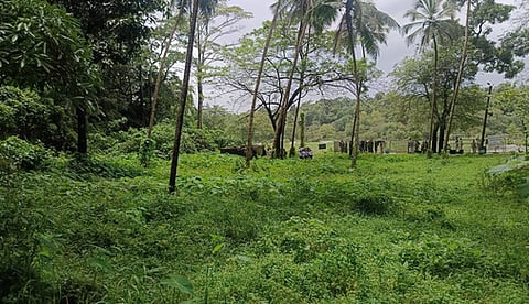 Dharmasthala mass burial case: SIT uses GPR at Site No. 13, no remains found