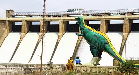 A view of the Hogenakkal dam in Karnataka.