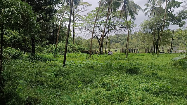 The complainant alleged that he was threatened and forced to bury the bodies of individuals who were victims of rape and murder within Dharmasthala village limits and nearby areas.