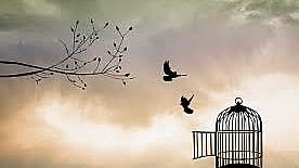 Live for others, free yourself