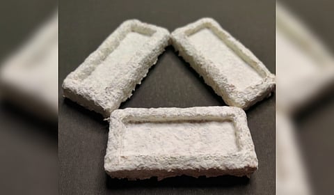 IIT Madras Researchers develop Agriculture Waste-based Packaging Materials that can eliminate Plastic Use 1 The technology will provide a solution to dispose of agricultural residues from open burning and a compostable packaging option.