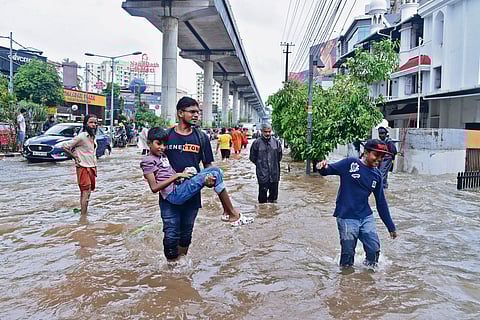 Kochi, do we have a breakthrough? 