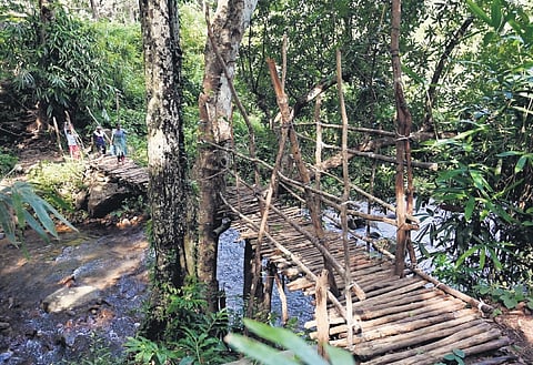 A ramshackle wooden bridge that leads to the Kani settlement in Kallar