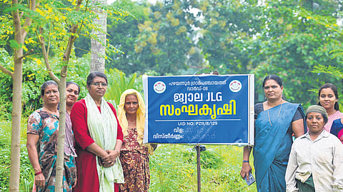 Bindhu and team in their moringa farm