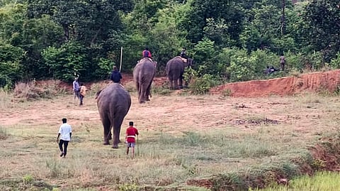Kumki elephants on Monday successfully diverted a wild elephant herd into the forest.