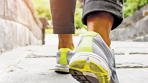 Photo for representation