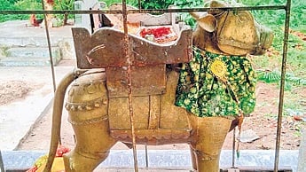 A 296-year-old bronze bull bearing an inscription in Odia 