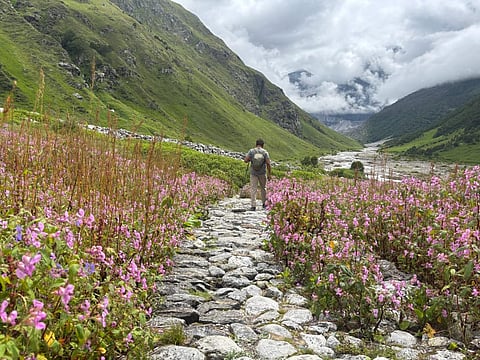 The Valley of Flowers National Park complements the rugged Nanda Devi National Park, offering spectacular alpine meadows with easier access.